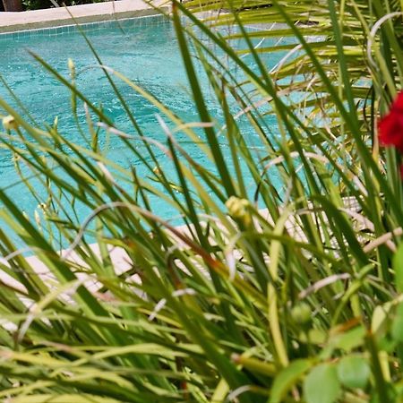 Luxury Suites Yesod Hamaala Luaran gambar