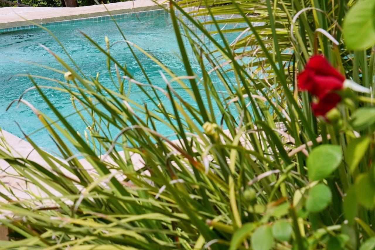 Luxury Suites Yesod Hamaala Luaran gambar